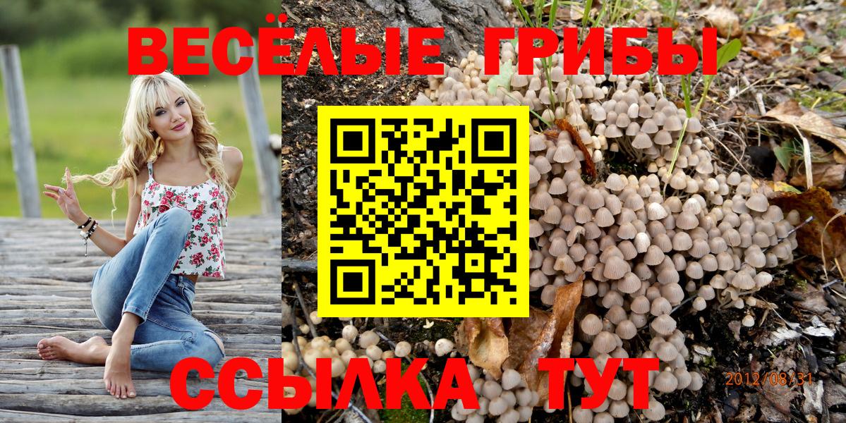 Галлюциногенные грибы ЛСД  Псилоцибиновые грибы мицелий  Вход с VPN  Нефтекамск 